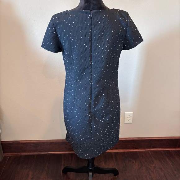 Ann Taylor Swiss Polka Dot Sheath Dress, size 8, Church Office Girly Staple - Picture 5 of 13